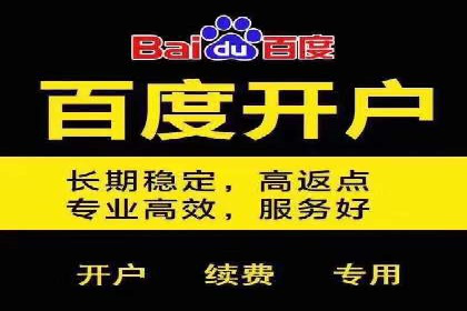搜索引擎营销（SEM）的精准投放技巧案例
